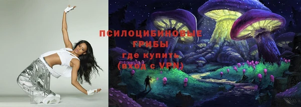 стаф Алексеевка