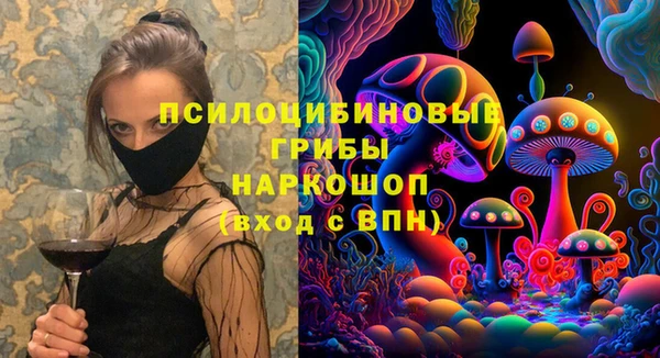 ПСИЛОЦИБИНОВЫЕ ГРИБЫ Алзамай
