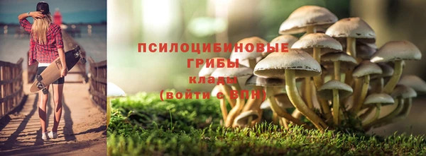 ПСИЛОЦИБИНОВЫЕ ГРИБЫ Алзамай