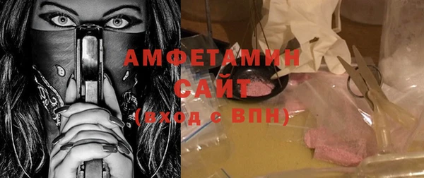 мет Алексин