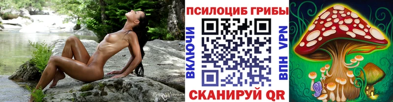 Псилоцибиновые грибы Psilocybine cubensis  купить наркотики сайты  Темрюк 